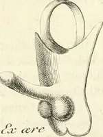 An illustration from Germana quaedam antiquitatis eruditae monumenta : quibus Romanorum veterum ritus varii tam sacri quam profani, tum Graecorum atque Aegyptiorum nonnulli illustrantur (1745)