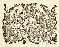 Picture 14 of 33 from Germani Audeberti Aurelii Venetiae (1583), leaf 111