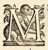 Picture 7 of 33 from Germani Audeberti Aurelii Venetiae (1583), leaf 12