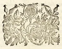 Picture 17 of 33 from Germani Audeberti Aurelii Venetiae (1583), leaf 152
