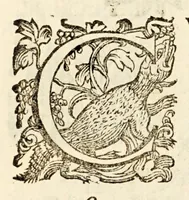 Picture 19 of 33 from Germani Audeberti Aurelii Venetiae (1583), leaf 153