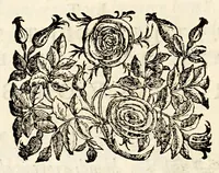 Picture 20 of 33 from Germani Audeberti Aurelii Venetiae (1583), leaf 154