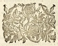 Picture 22 of 33 from Germani Audeberti Aurelii Venetiae (1583), leaf 156
