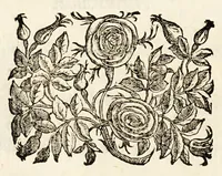 Picture 10 of 33 from Germani Audeberti Aurelii Venetiae (1583), leaf 18