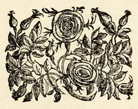 Picture 32 of 33 from Germani Audeberti Aurelii Venetiae (1583), leaf 201
