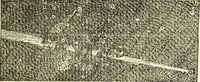 An illustration from The German sectarians of Pennsylvania : a critical and legendary history of the Ephrata Cloister and the Dunkers (1899)