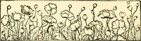 An illustration from The German sectarians of Pennsylvania : a critical and legendary history of the Ephrata Cloister and the Dunkers (1899)