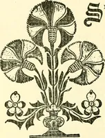 An illustration from The German sectarians of Pennsylvania : a critical and legendary history of the Ephrata Cloister and the Dunkers (1899)
