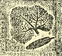 An illustration from The German sectarians of Pennsylvania : a critical and legendary history of the Ephrata Cloister and the Dunkers (1899)