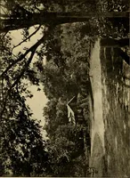 An illustration from Germantown Gardens and Gardeners (1914)