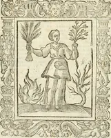 Picture 49 of 52 from Geroglifici morali (1626), leaf 496