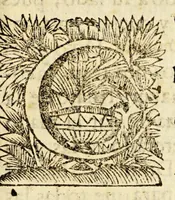 An illustration from Geroglifico sagrado de la amistad mas verdadera, y vivo traslado de la divina, y celestial en los gloriosos patriarchas Sancto Domingo, y S. Francisco, (1692)
