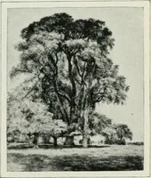 An illustration from Geschichte der Kunst in Grossbritannien und Irland (1909)