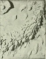 Picture 77 of 280 from Geschichte des florentinischen Grabmals von den ältesten Zeiten bis Michelangelo (1904), leaf 177