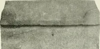 Picture 22 of 280 from Geschichte des florentinischen Grabmals von den ältesten Zeiten bis Michelangelo (1904), leaf 56