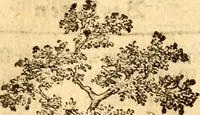 An illustration from Geschichte des Herzogthums Würtenberg unter der Regierung der Herzogen (1764)
