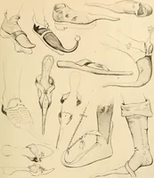 An illustration from Geschichte des Kostüms (1905)
