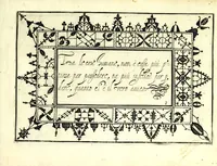 An illustration from Ghirlanda di sei uaghi fiori scielti da piu famosi giardini d'Italia : raccolti (1604)