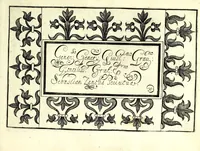 An illustration from Ghirlanda di sei uaghi fiori scielti da piu famosi giardini d'Italia : raccolti (1604)