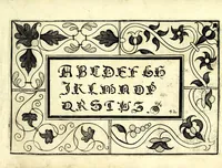 An illustration from Ghirlanda di sei uaghi fiori scielti da piu famosi giardini d'Italia : raccolti (1604)