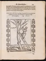An illustration from Giardino di agricoltura ... : nel quale ... si tratta di tutto quello, che s'appartiene à sapere à un perfetto giardiniero (1593)