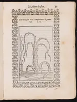 An illustration from Giardino di agricoltura ... : nel quale ... si tratta di tutto quello, che s'appartiene à sapere à un perfetto giardiniero (1593)