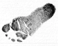An illustration from Gift of Christmas (1972)