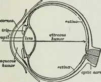 An illustration from Gilbert light experiments for boys (1920)