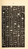 An illustration from Gilda aurifabrorum; a history of English goldsmiths and plateworkers, and their marks stamped on plate, copied in facsimile from celebrated examples; and the earliest records preserved at Goldsmith's hall, London, with their names, addresses, and dates of entry, 2500 illustrations, also historical accounts of the Goldsmiths' company and their hall marks; their regalia; the Mint; closing of the Exchequer; goldsmith-bankers; shop signs; a copious index, &c. &c., preceded by an introductory essay on the goldsmiths' art (1899)