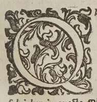 Picture 6 of 30 from Gio. Paolo Gallvcci ... Della fabrica et vso di diversi stromenti di astronomia, et cosmografia, oue si uede la somma della teorica, et pratica di queste due nobilissime scienze (1598), leaf 219