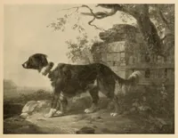 An illustration from Giovanni Migliara (1785-1837) (1900)