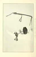 Picture 13 of 13 from Girls' make-at-home things (1912), leaf 260