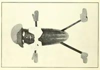 Picture 1 of 13 from Girls' make-at-home things (1912), leaf 32