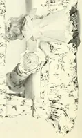 Picture 3 of 13 from Girls' make-at-home things (1912), leaf 70