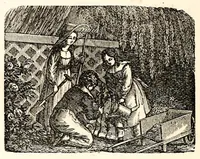 Picture 12 of 12 from The girl's own book (1833), leaf 252