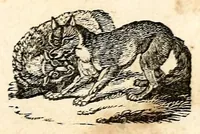 An illustration from The girl's own book (1833)