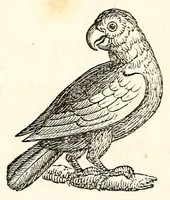 An illustration from The girl's own book (1833)