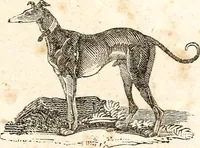 An illustration from The girl's own book (1833)