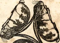 Picture 61 of 97 from The girl's own book (1833), leaf 168