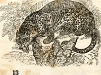 An illustration from The girl's own book (1833)