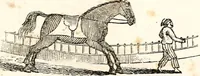 An illustration from The girl's own book (1833)
