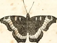 An illustration from The girl's own book (1833)