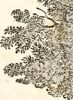 An illustration from The girl's own book (1833)
