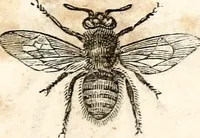An illustration from The girl's own book (1833)