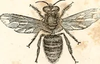 An illustration from The girl's own book (1833)