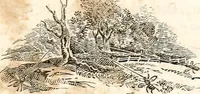 Picture 81 of 97 from The girl's own book (1833), leaf 240