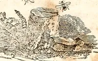 Picture 82 of 97 from The girl's own book (1833), leaf 241