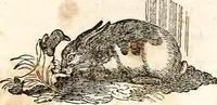 Picture 87 of 97 from The girl's own book (1833), leaf 248