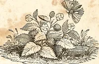 An illustration from The girl's own book (1833)