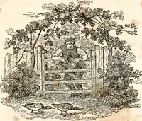 Picture 93 of 97 from The girl's own book (1833), leaf 258